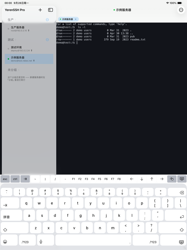 iPad：分栏终端与 F1–F8 扩展键